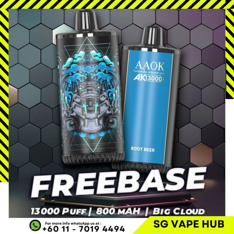  AAOK-13000-PUFFS-SG-Vape-Hub