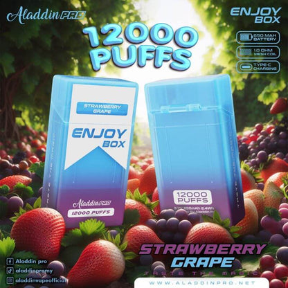 ALADDIN-PRO-ENJOY-BOX-STRAWBERRY-GRAPE-SG-Vape-Hub